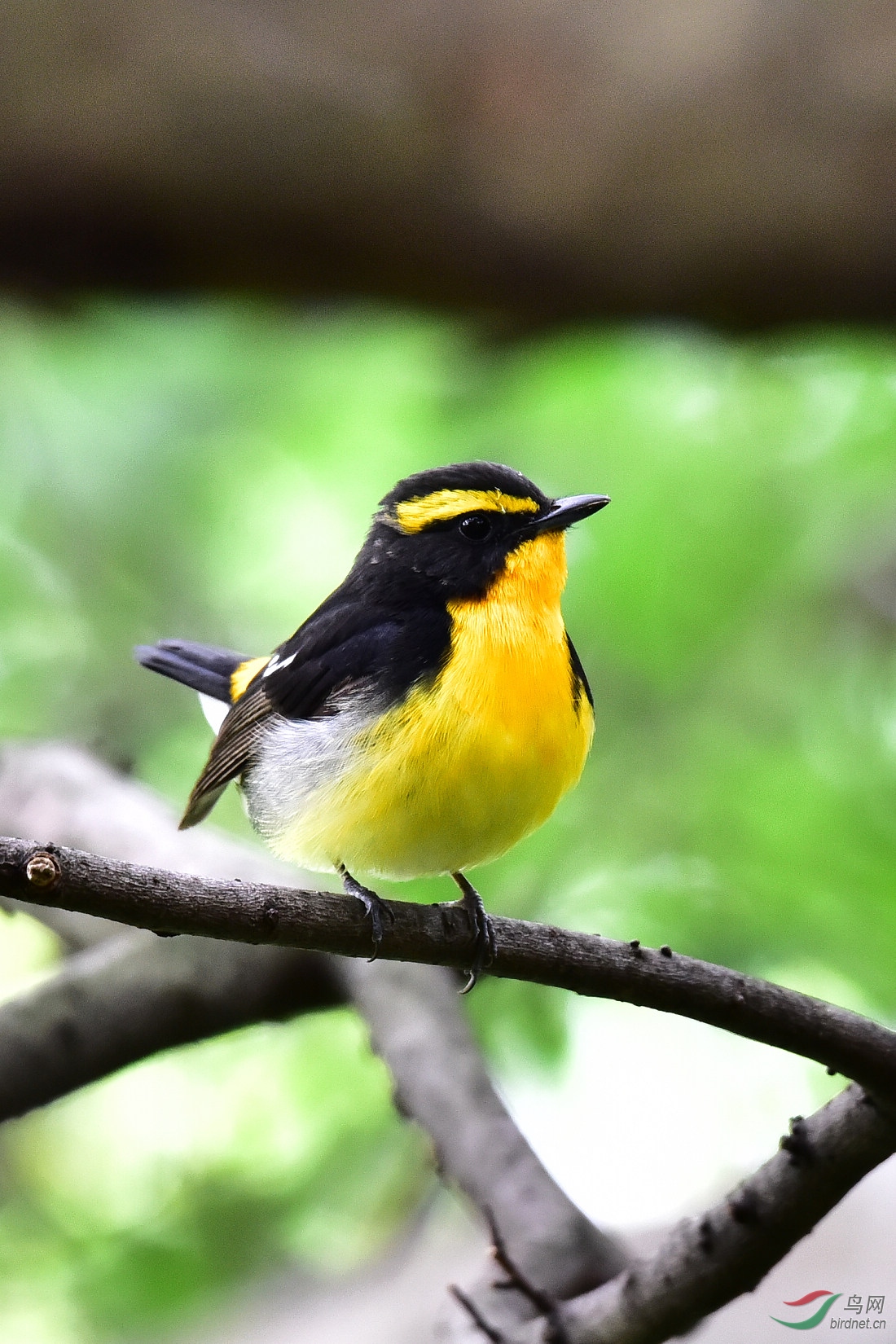 DSC_0981.JPG