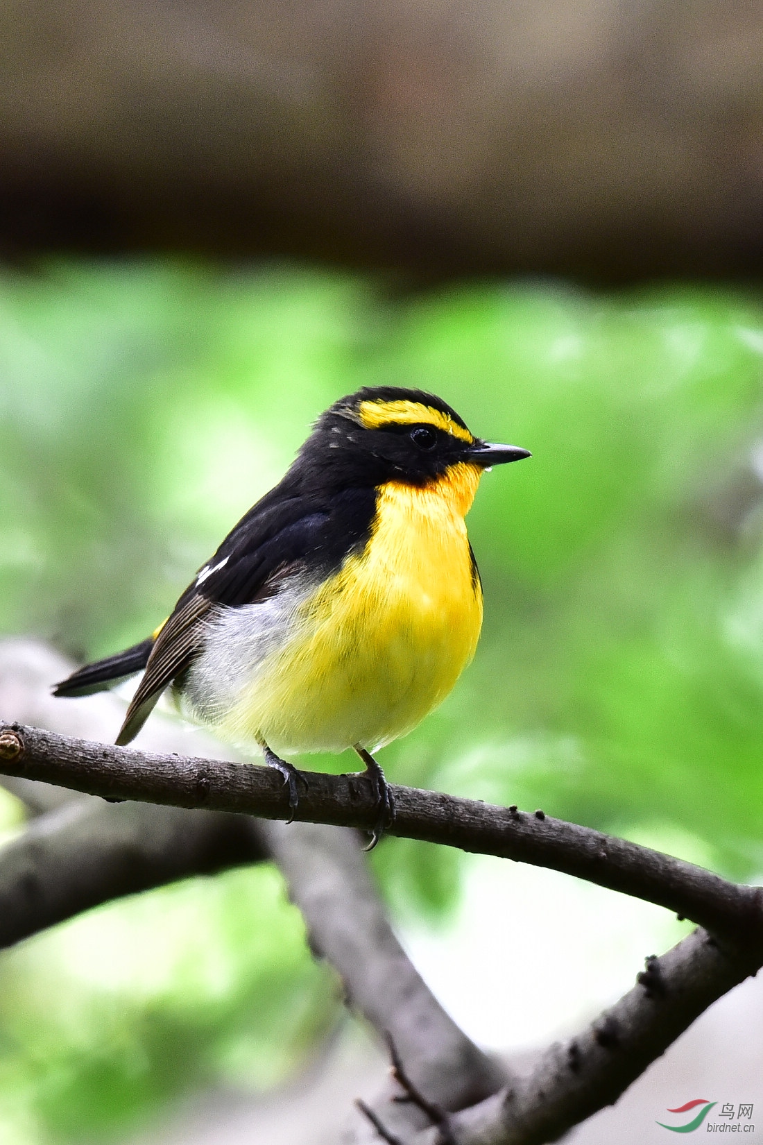 DSC_0982.JPG