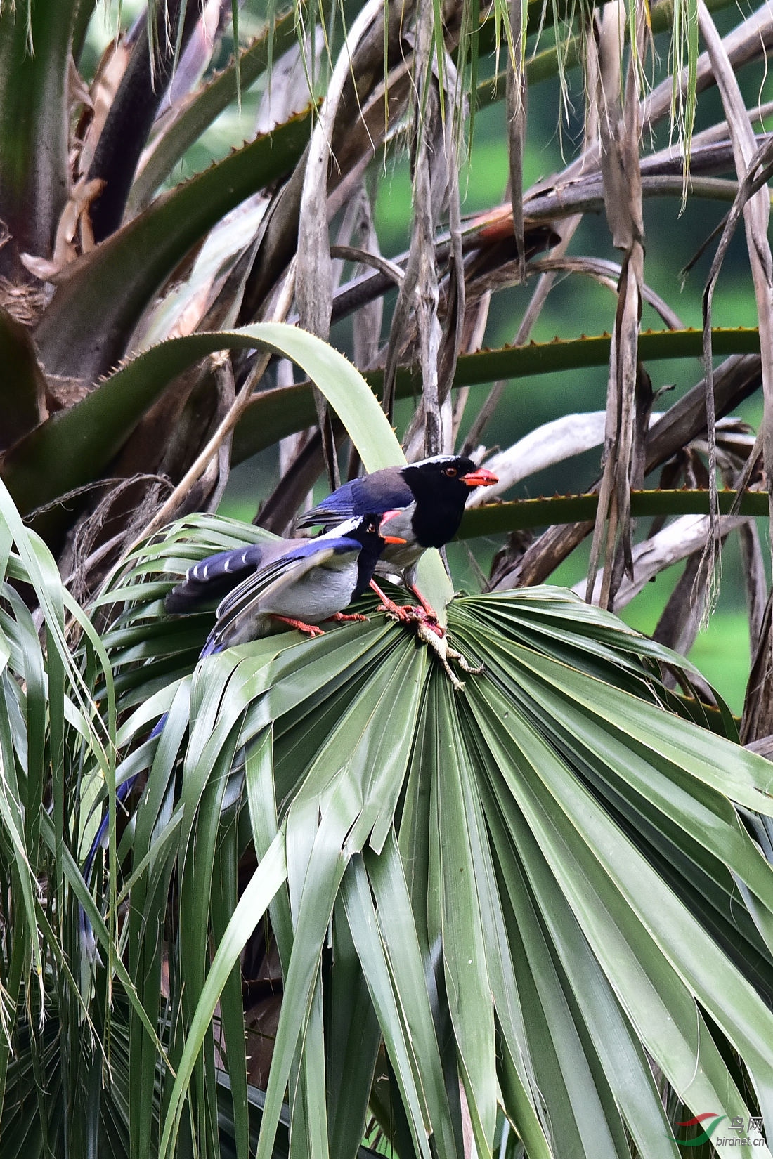 DSC_0211.JPG