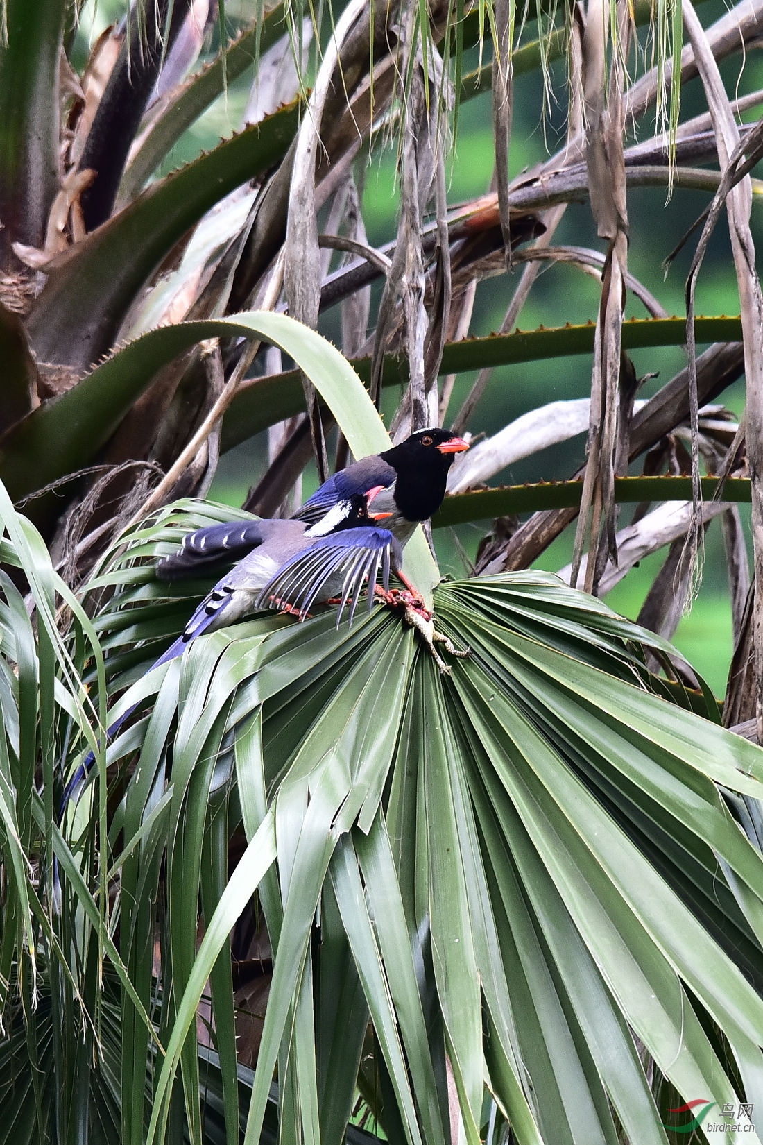 DSC_0212.JPG