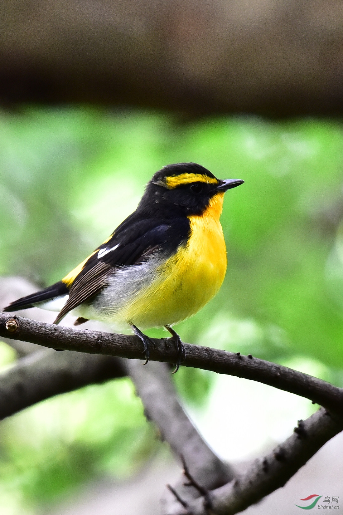 DSC_0983.JPG