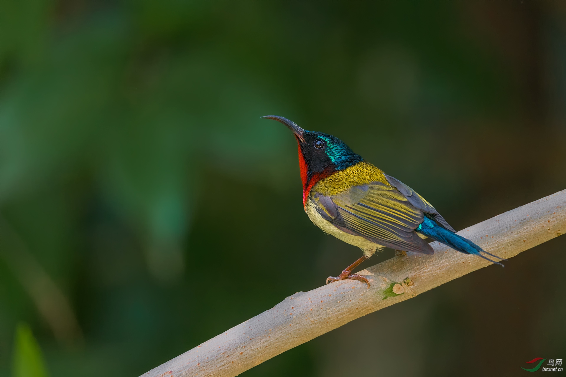 _DSC5256-1.jpg