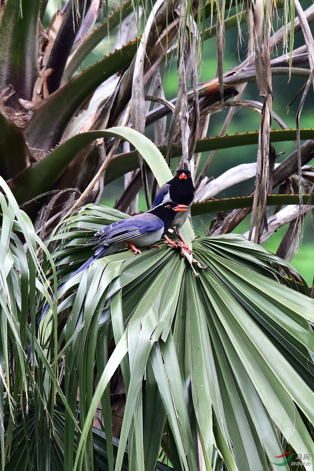 DSC_0216.JPG