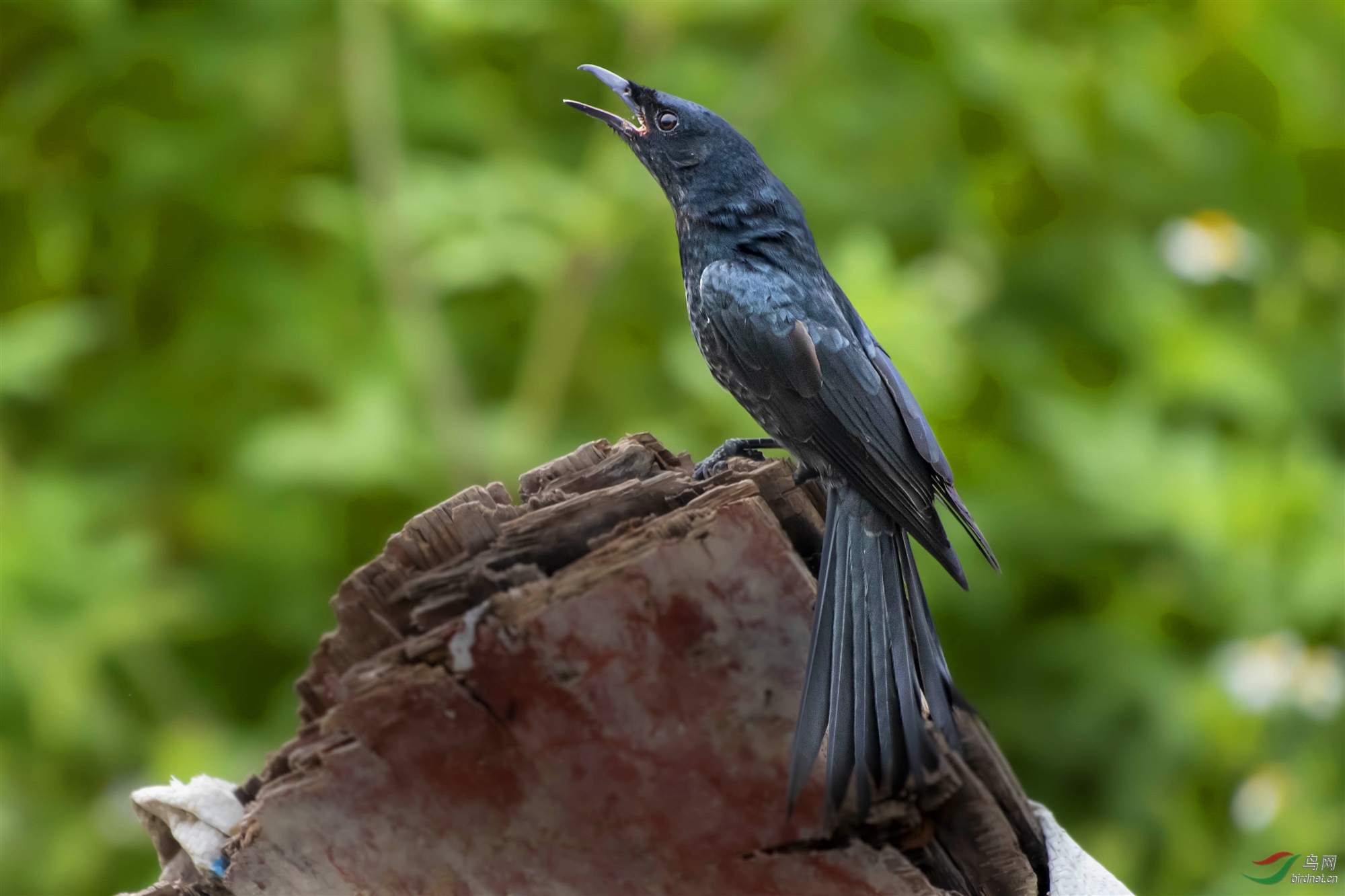 DSC_7689_1_����.jpg