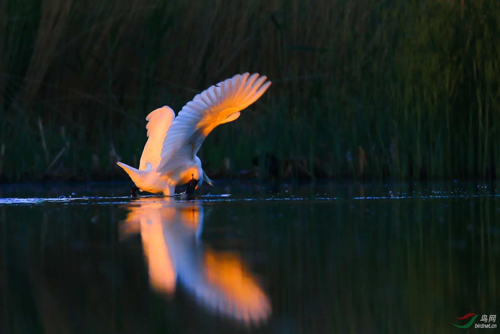 �����еİ�����