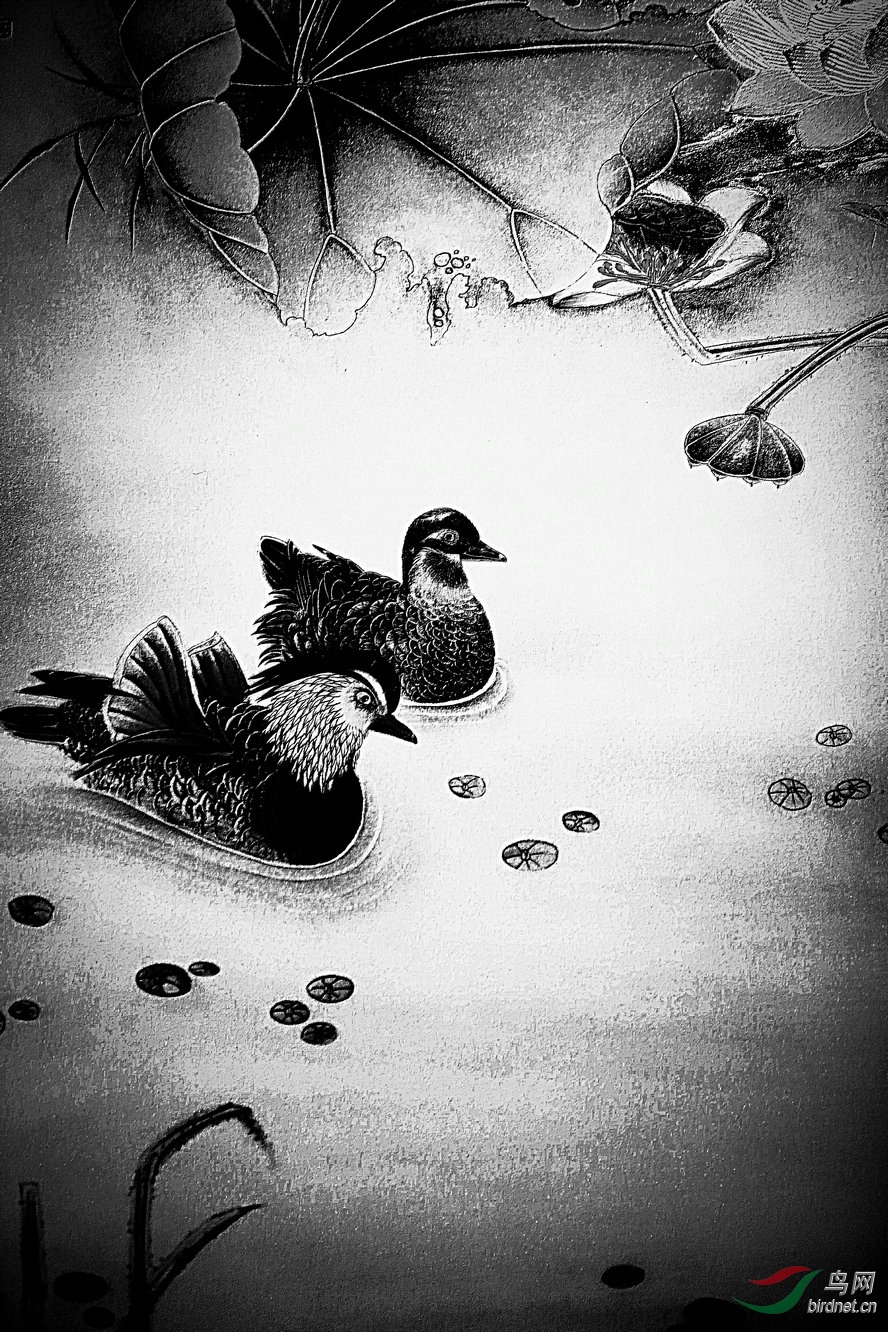 BW6I3045_����_����2_����.jpg