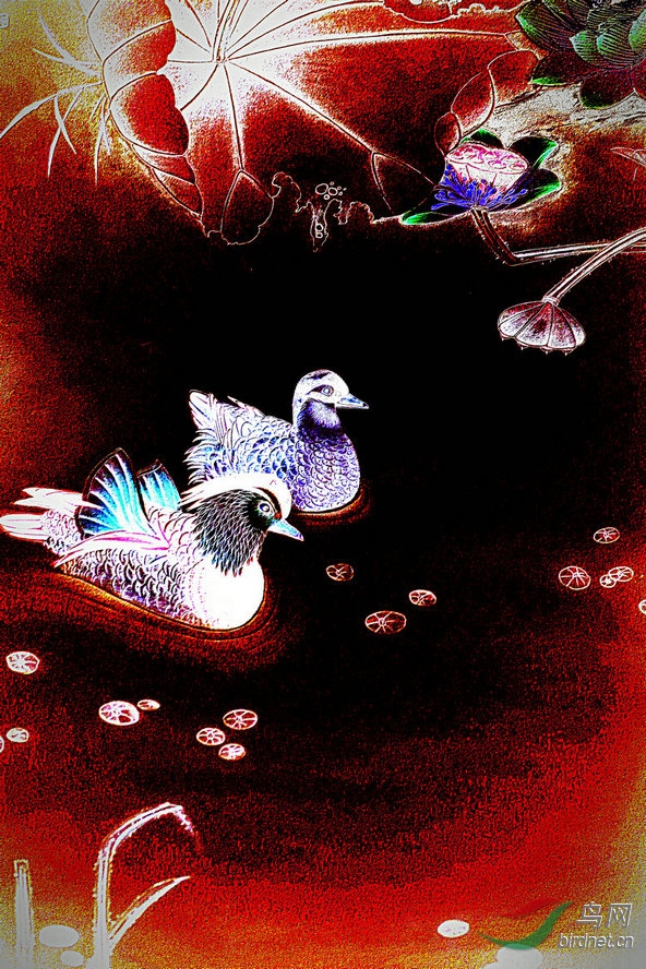 BW6I3045_����_����1_����_����.jpg