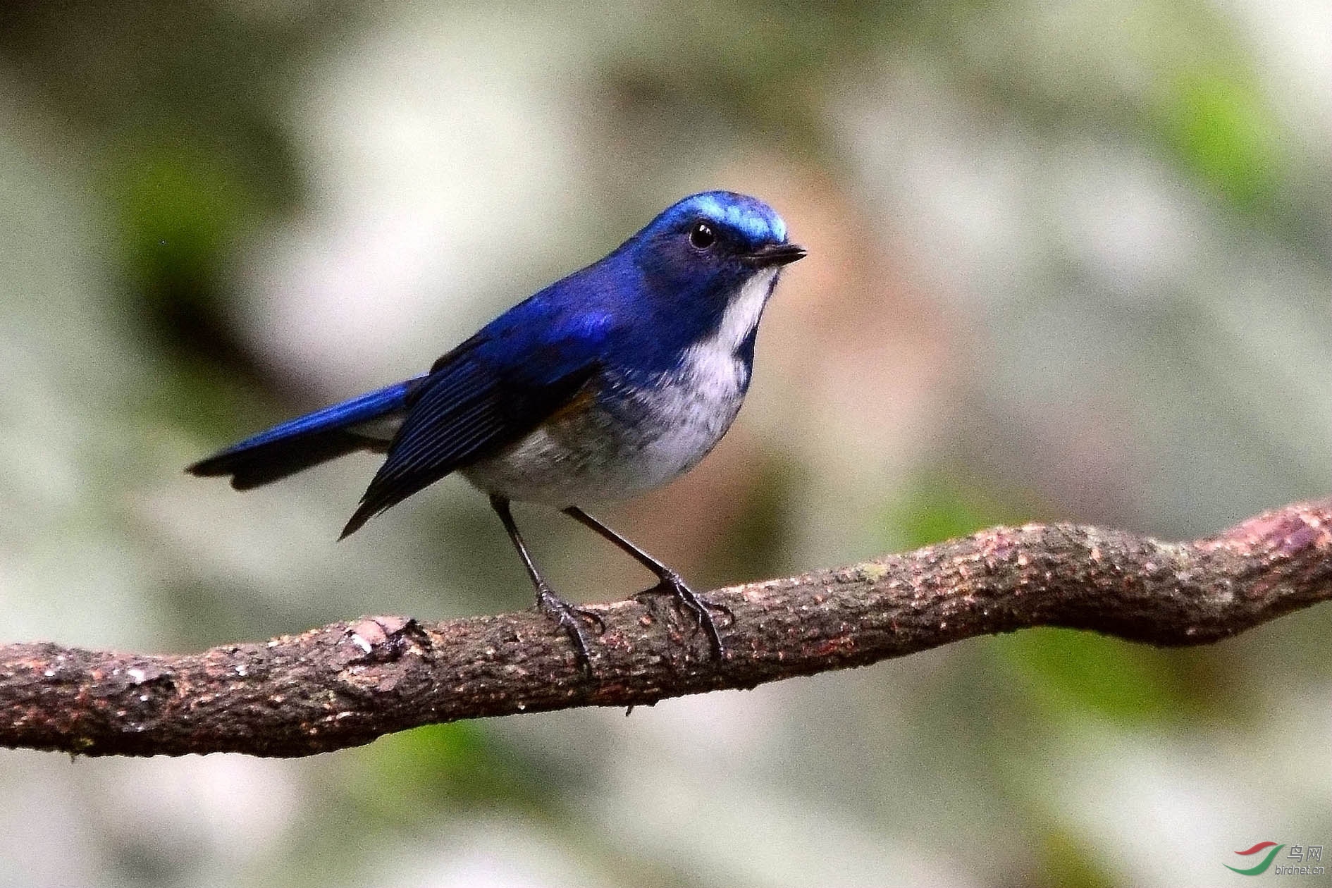 DSC_8846.JPG