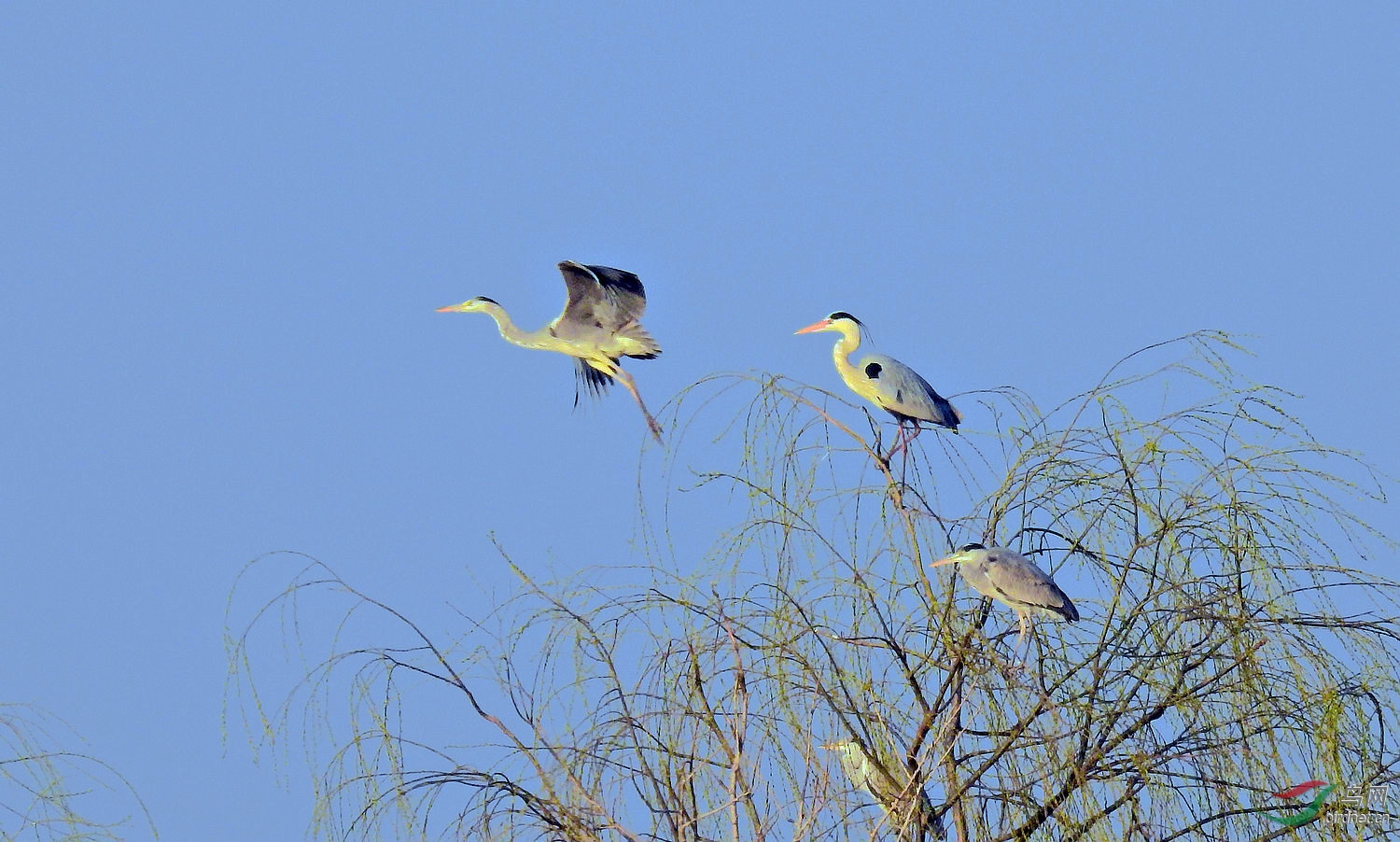 DSCN4956.JPG