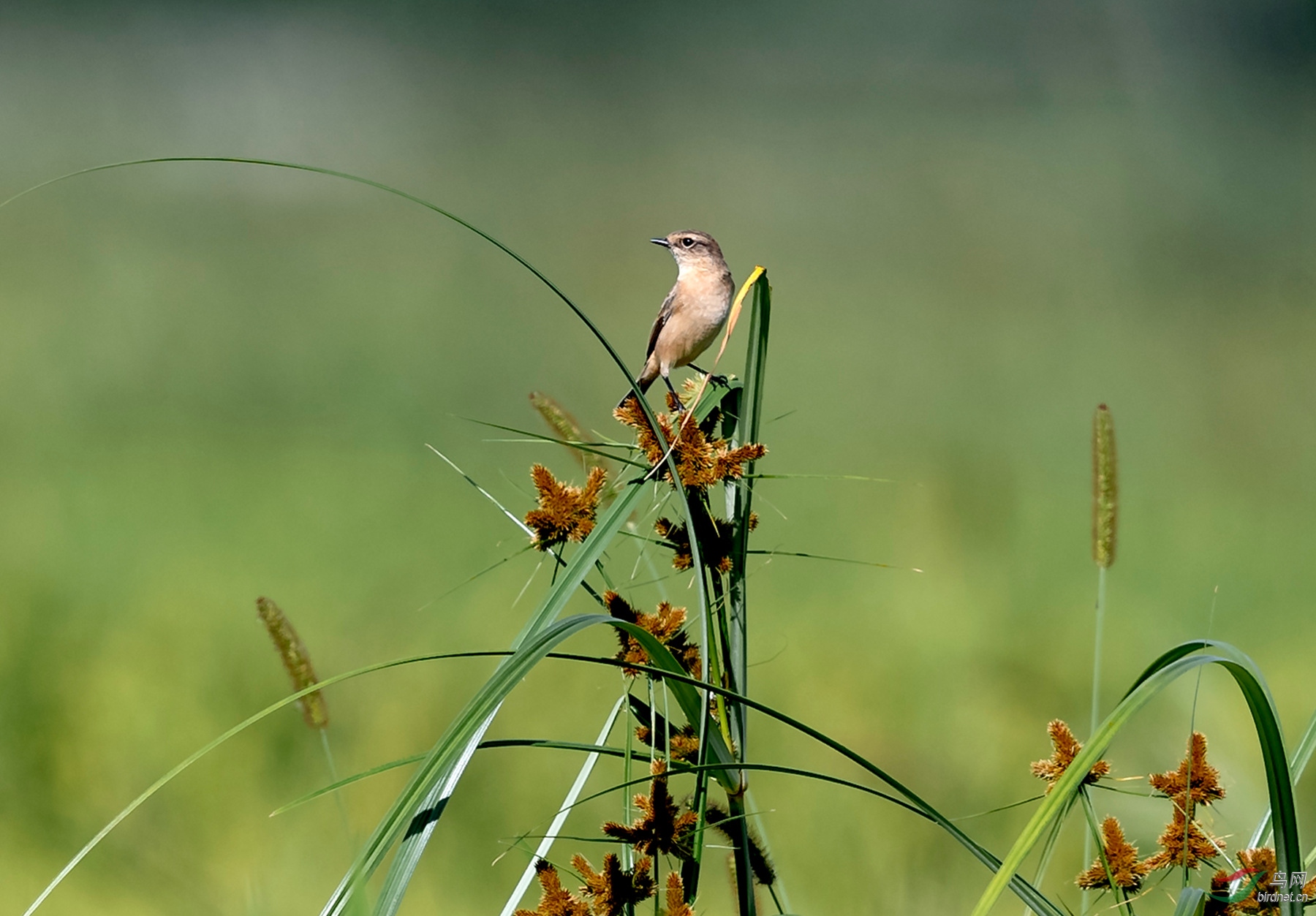 _K8I3098 01_���� ��üέݺ.jpg