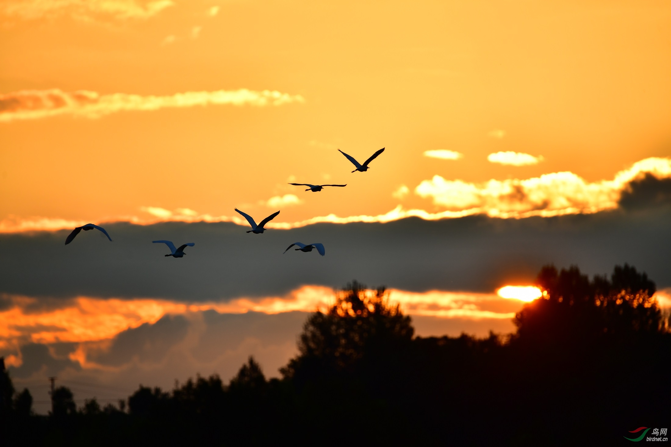DSC_1193vv02.jpg
