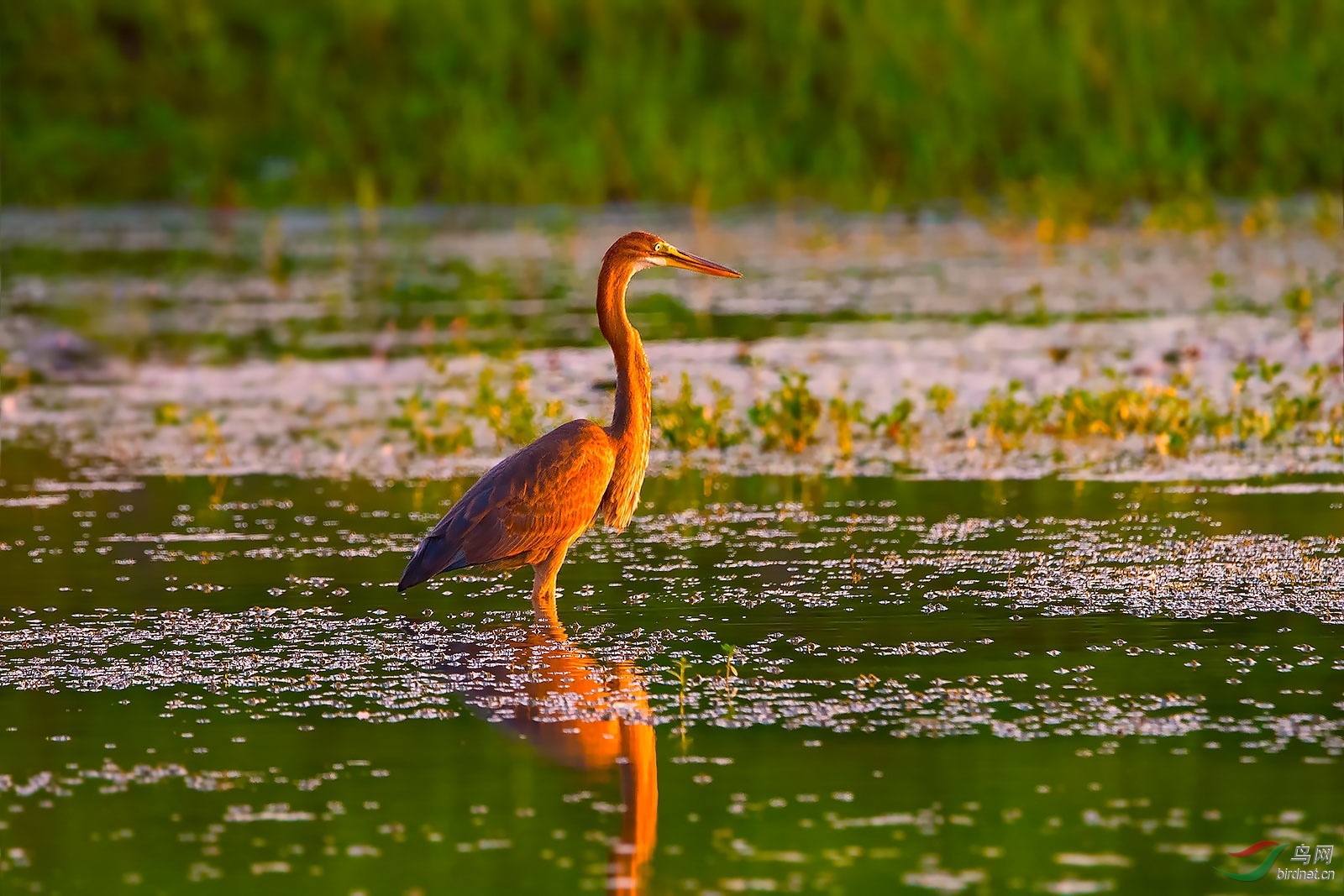 DSC_6254.jpg
