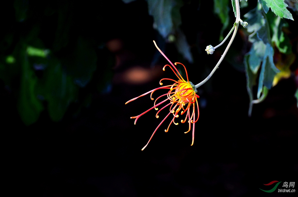 DSC_0653.JPG