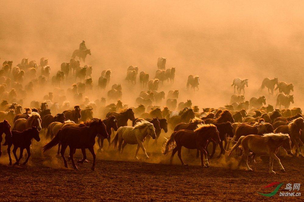 IMG_11670 - ��.jpg