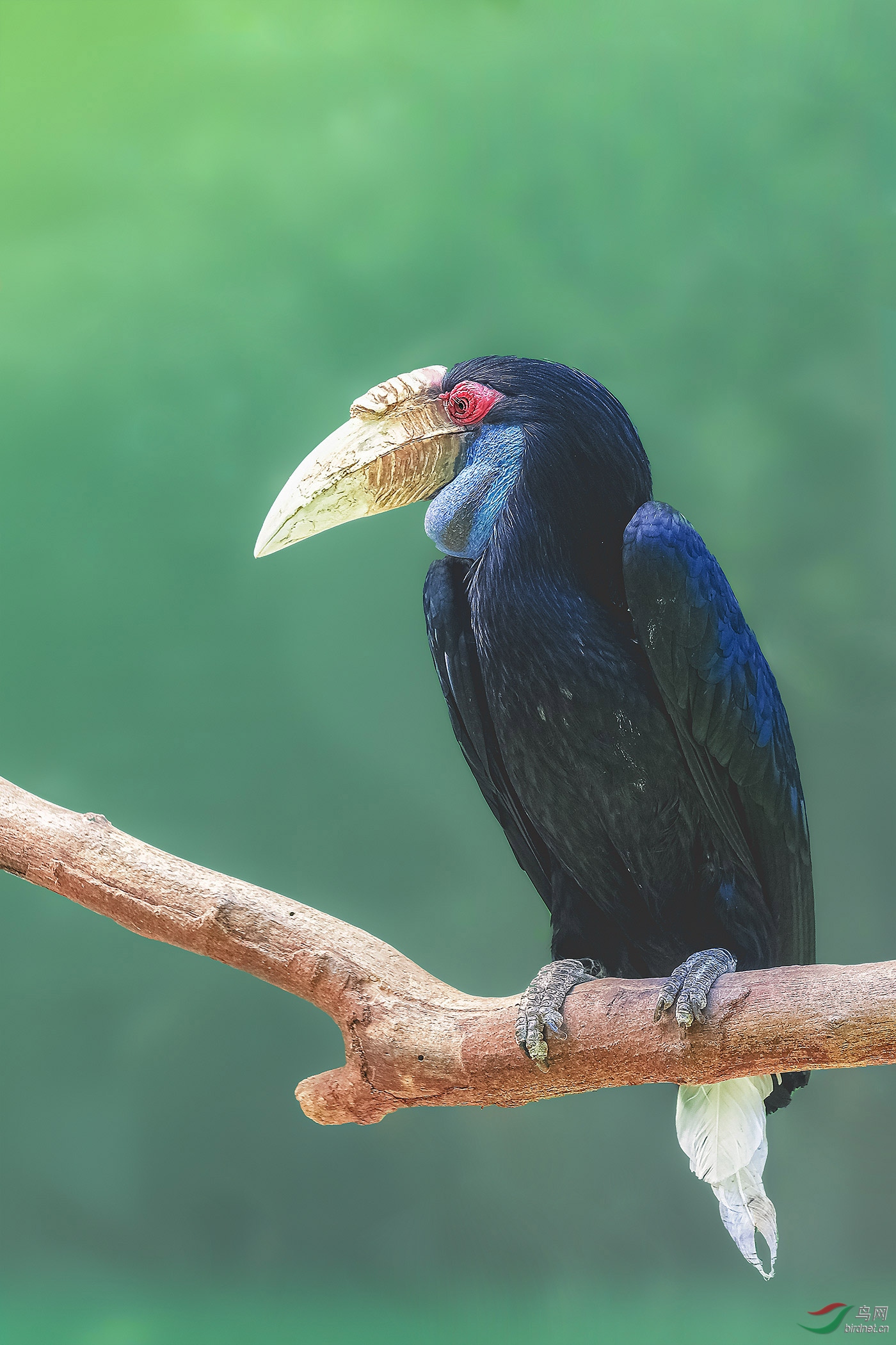 DSCF1716-2.jpg