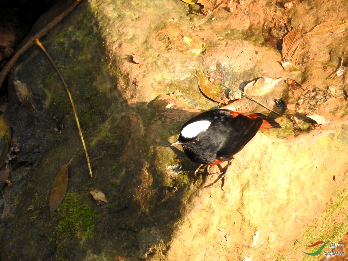 DSCN4050.JPG