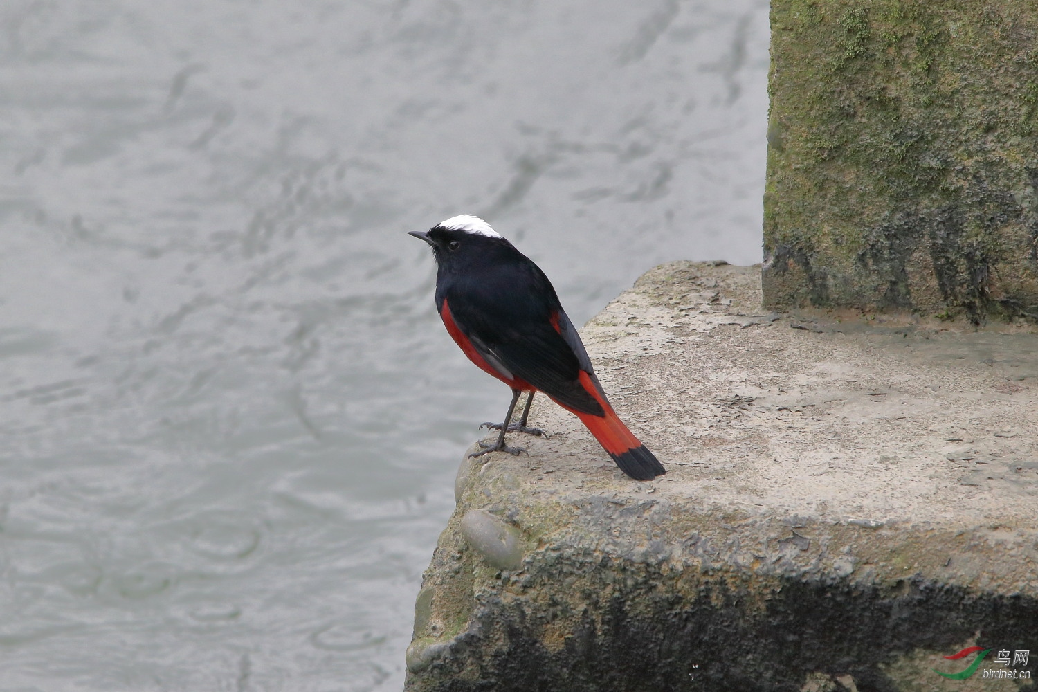 IMG_9489.JPG