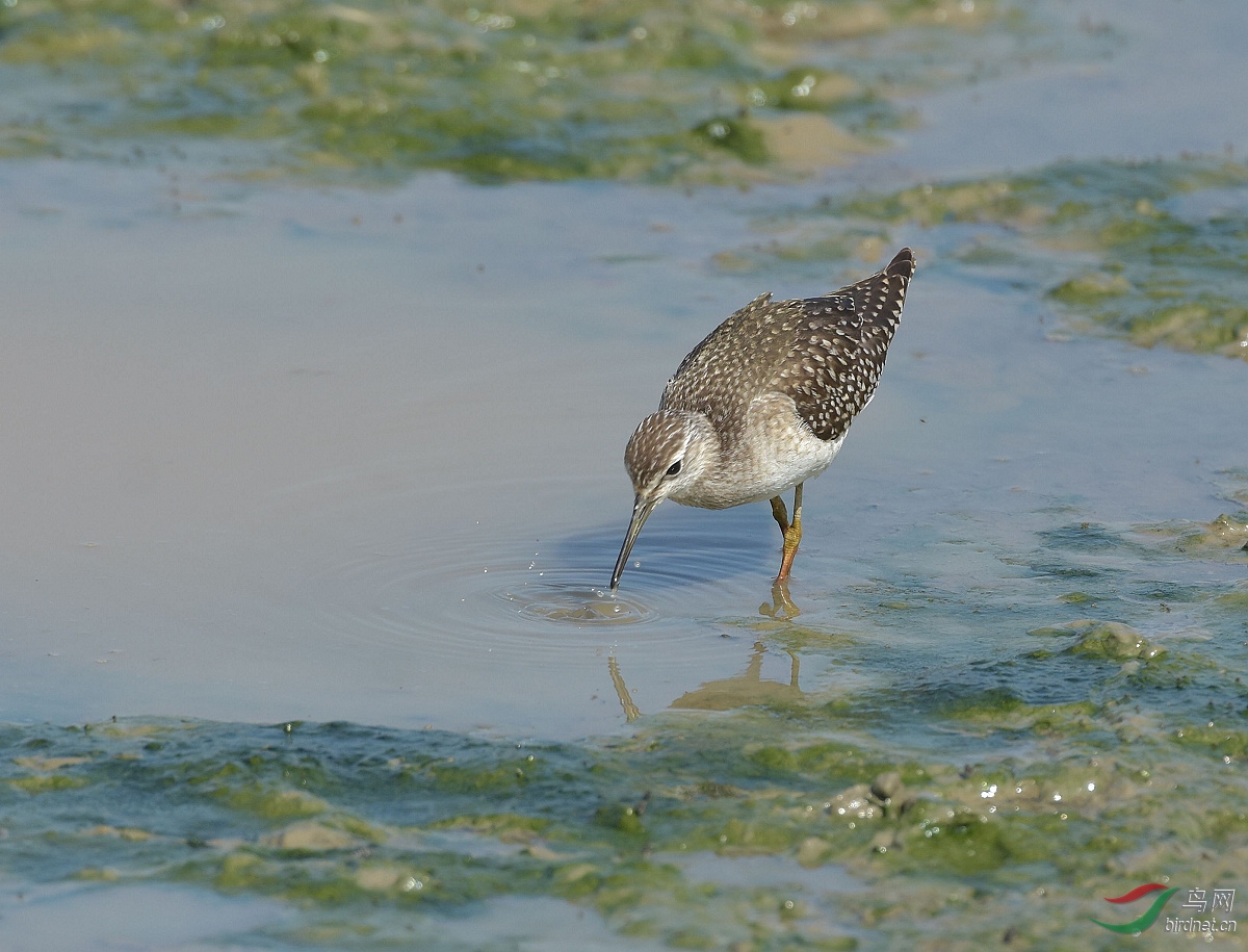 D72_3730.jpg