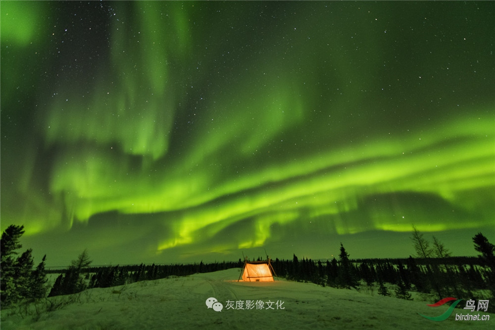 4������9 Aurora9.jpg