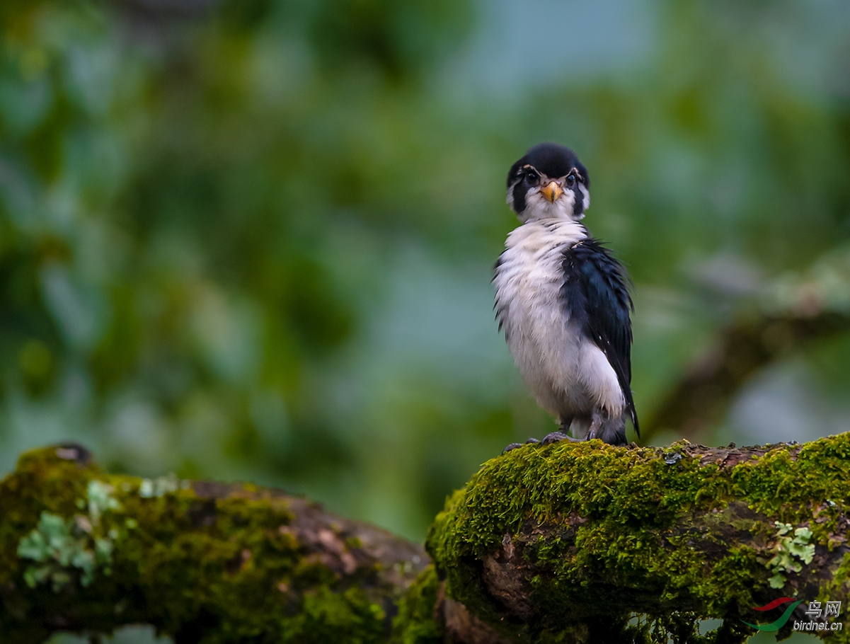 DSC_7376.jpg