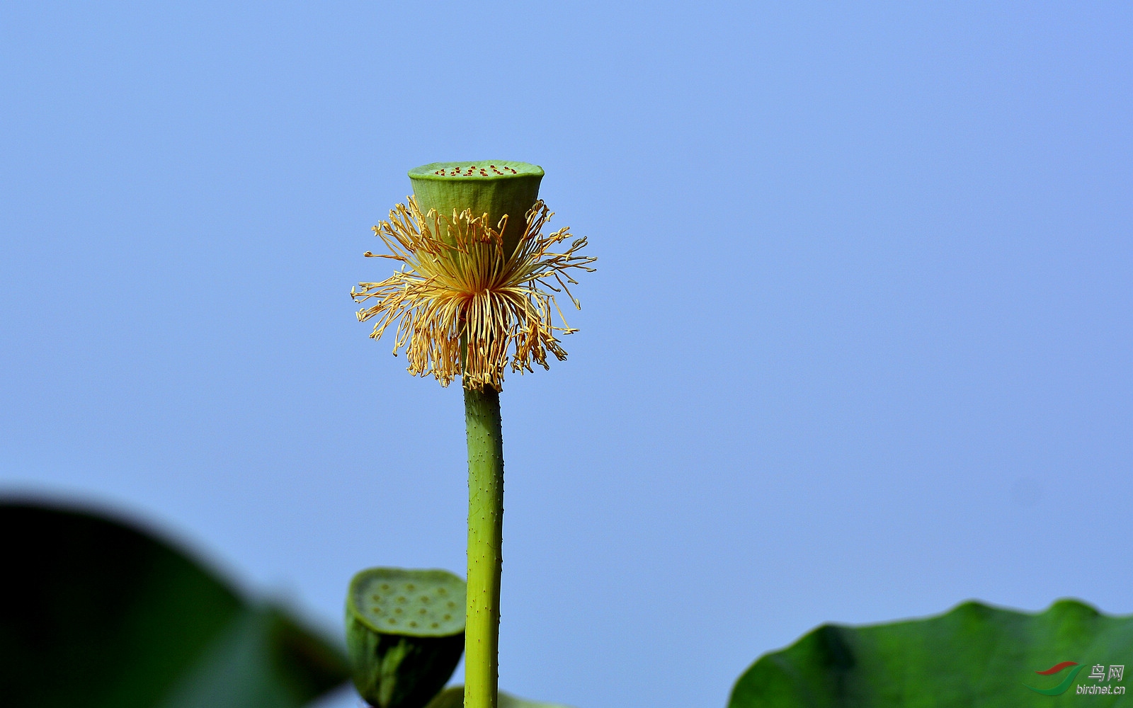 DSC_3897.JPG