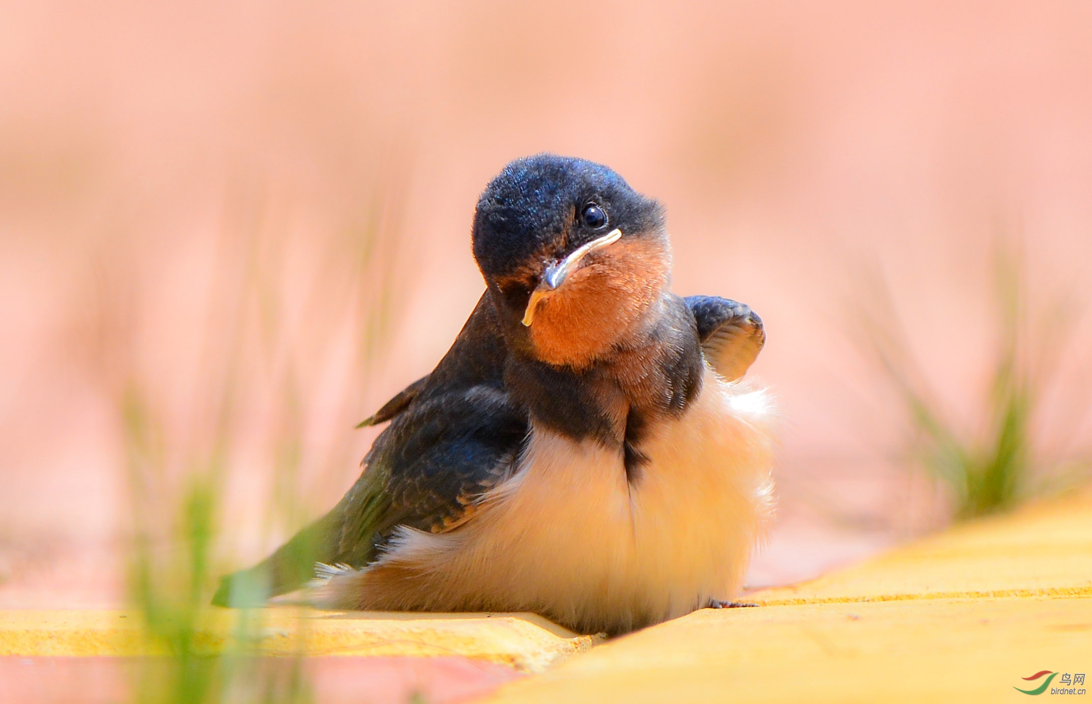 �����  ͼƬ �绰��18787579537 ���硷.jpg