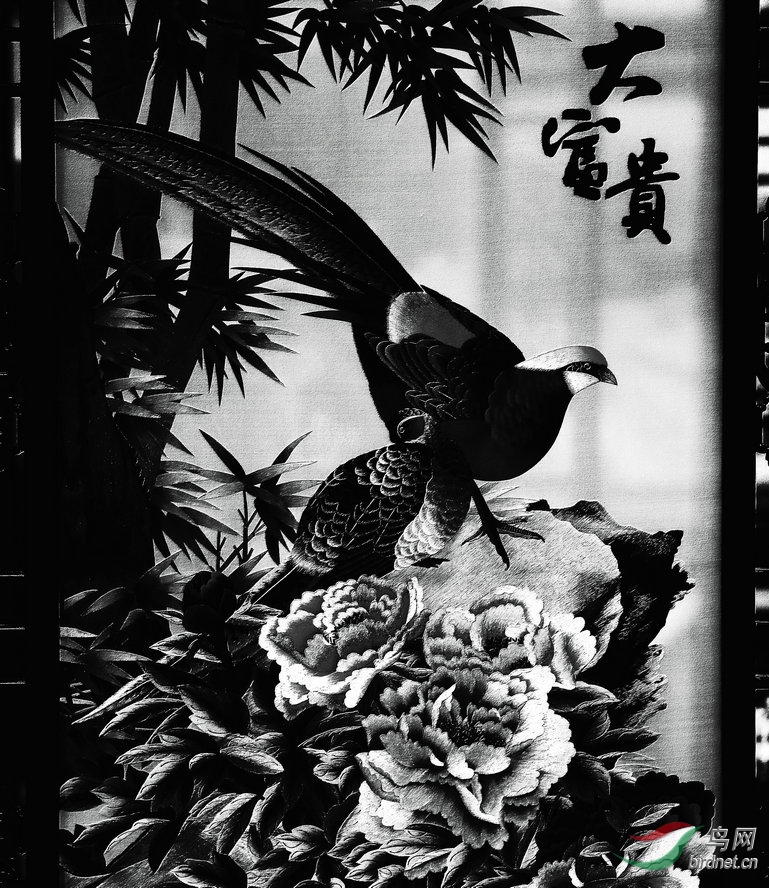 BW6I3068_����_����1_����.jpg