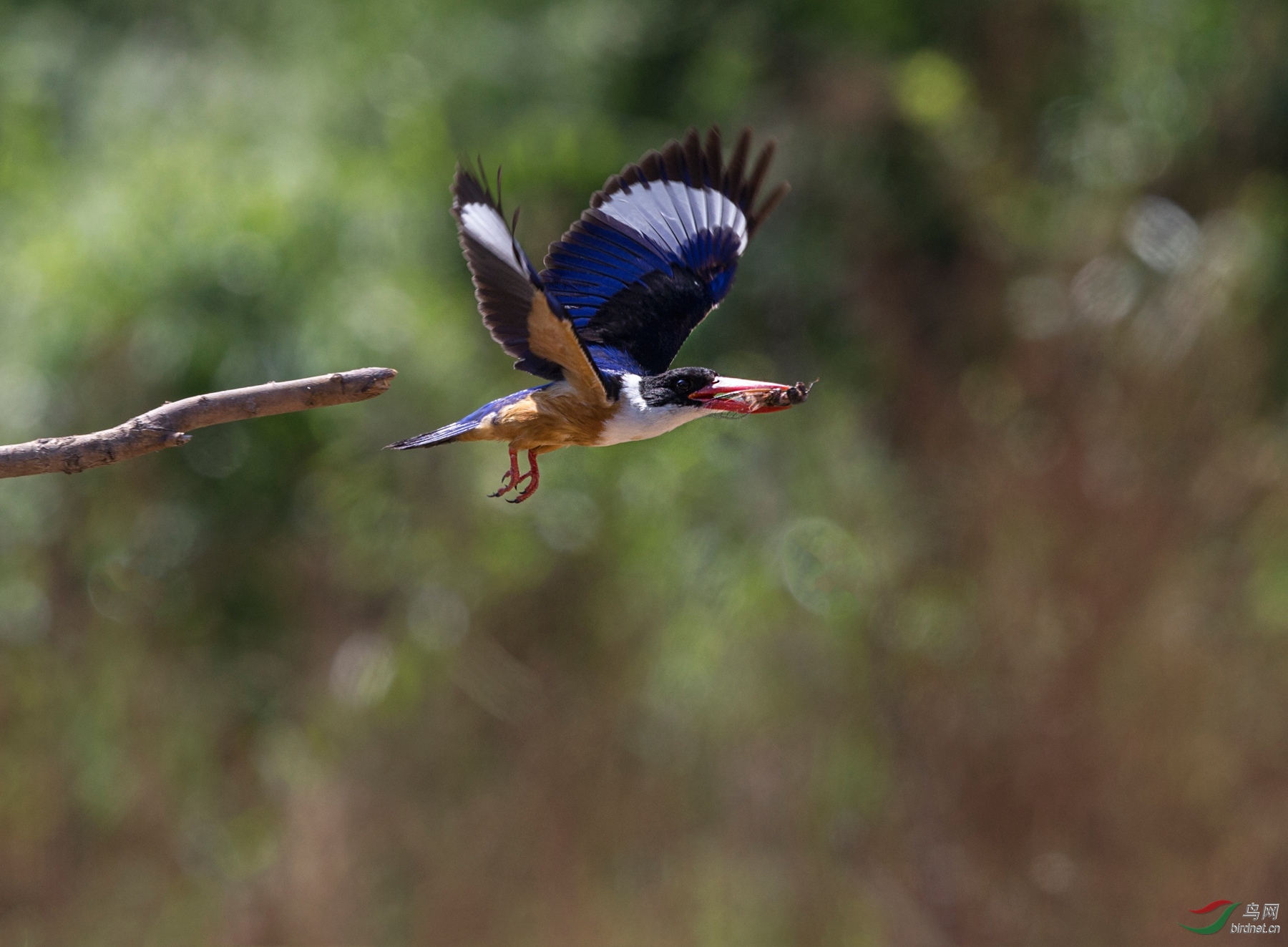 BW4Q7107 - ����.jpg