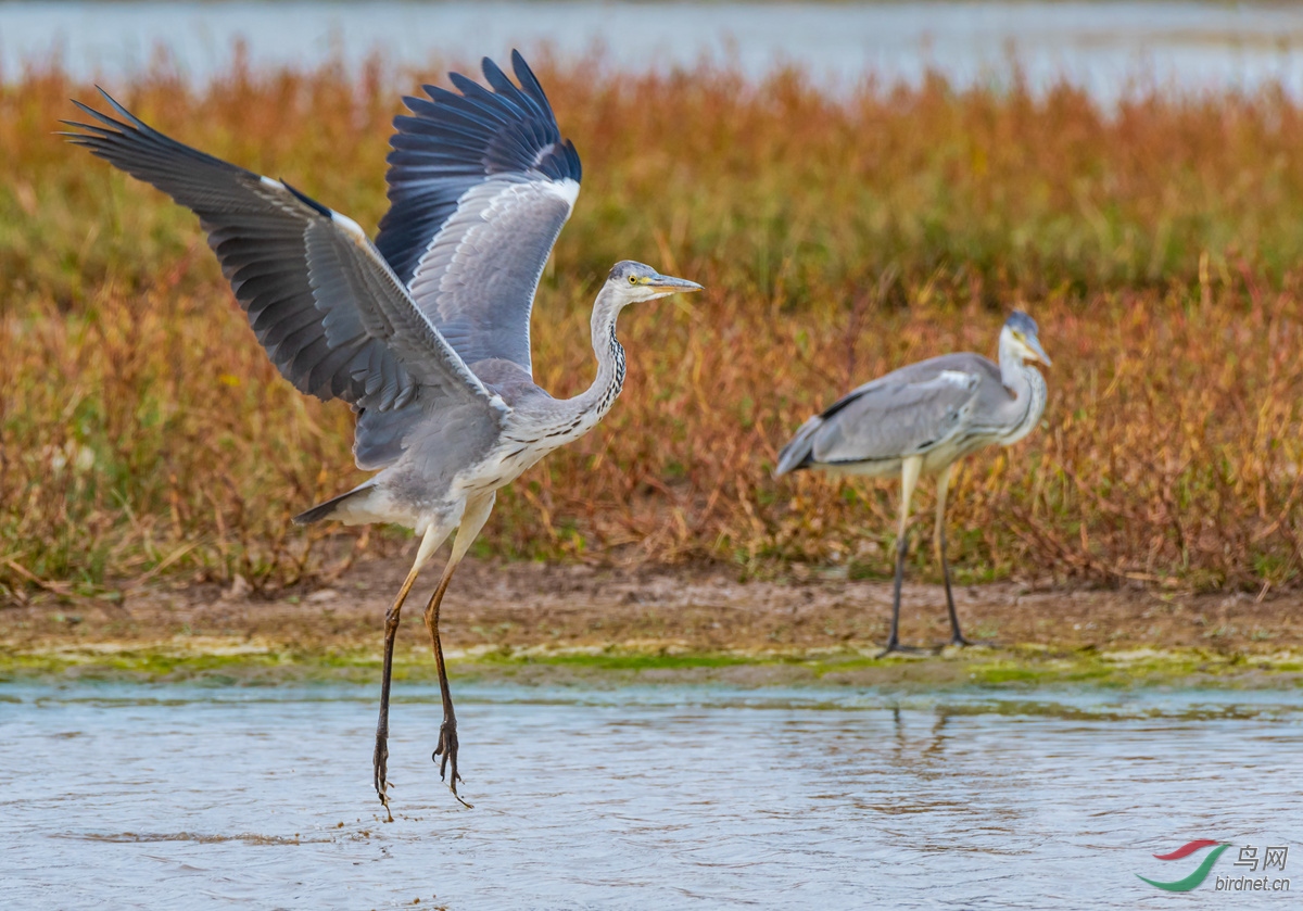 DSC_9475.jpg