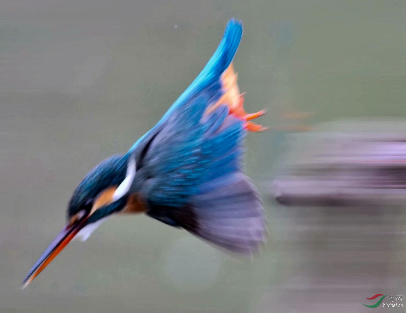 A589B9D0-5E83-415C-9E4B-76D5B8A99F47.jpeg