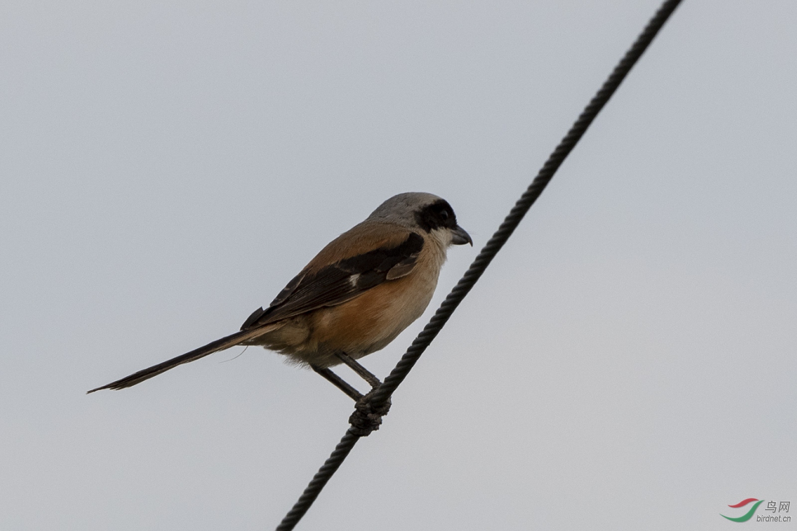 D50_2049.jpg