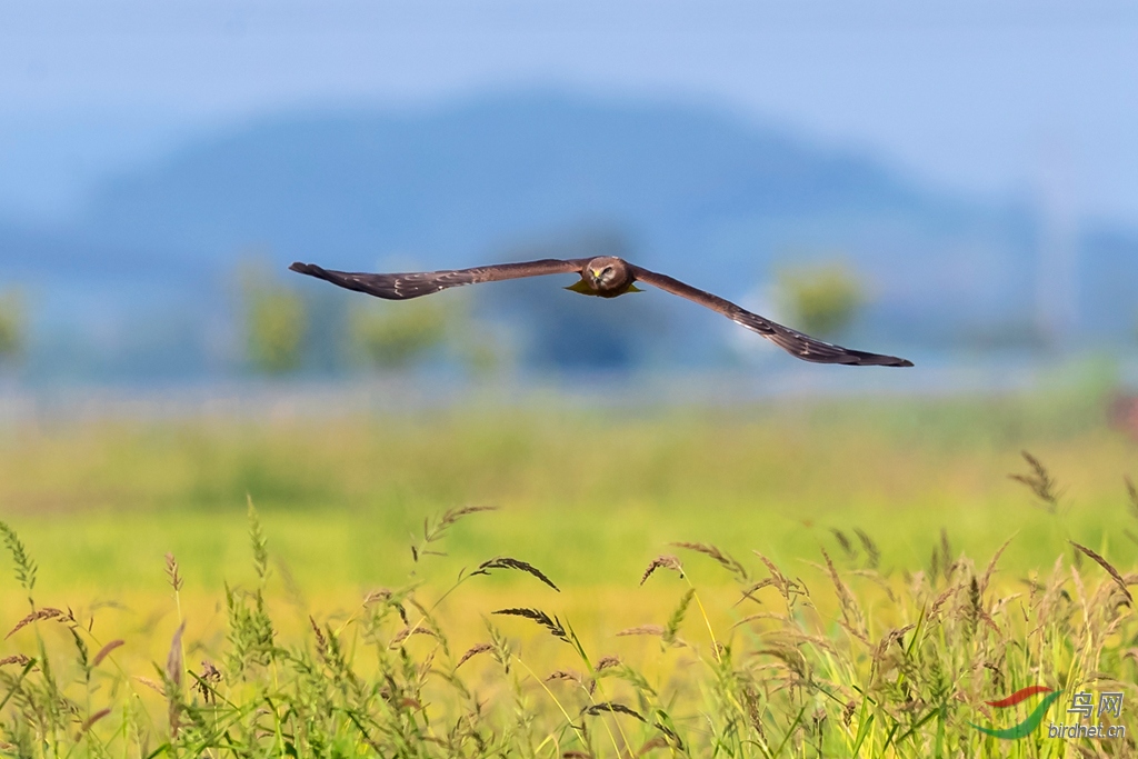 _K8I3717  01_����.jpg