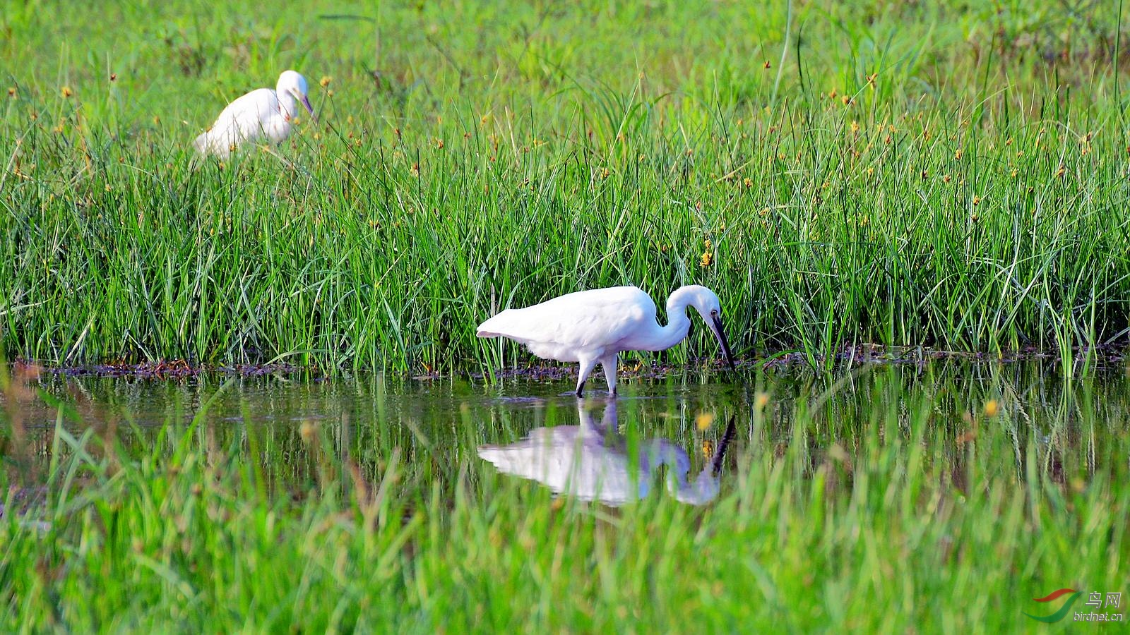 DSC_7094.JPG