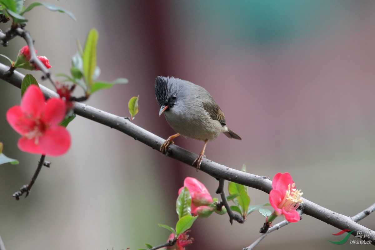 IMG_8912.JPG