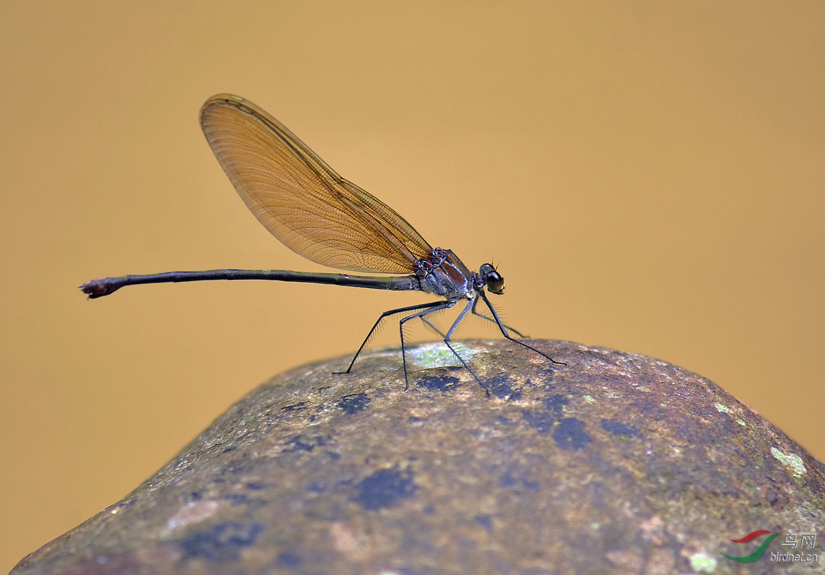 D72_4552.jpg