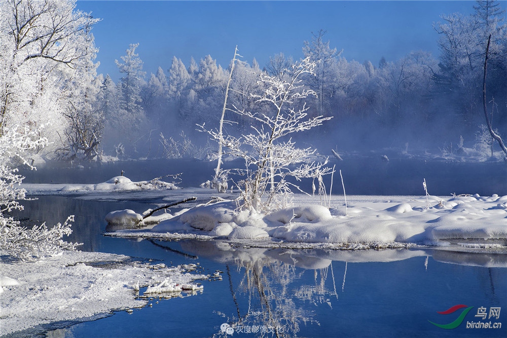 ������Ӱʦ��Ʒ�Ҷ�Ӱ���Ա