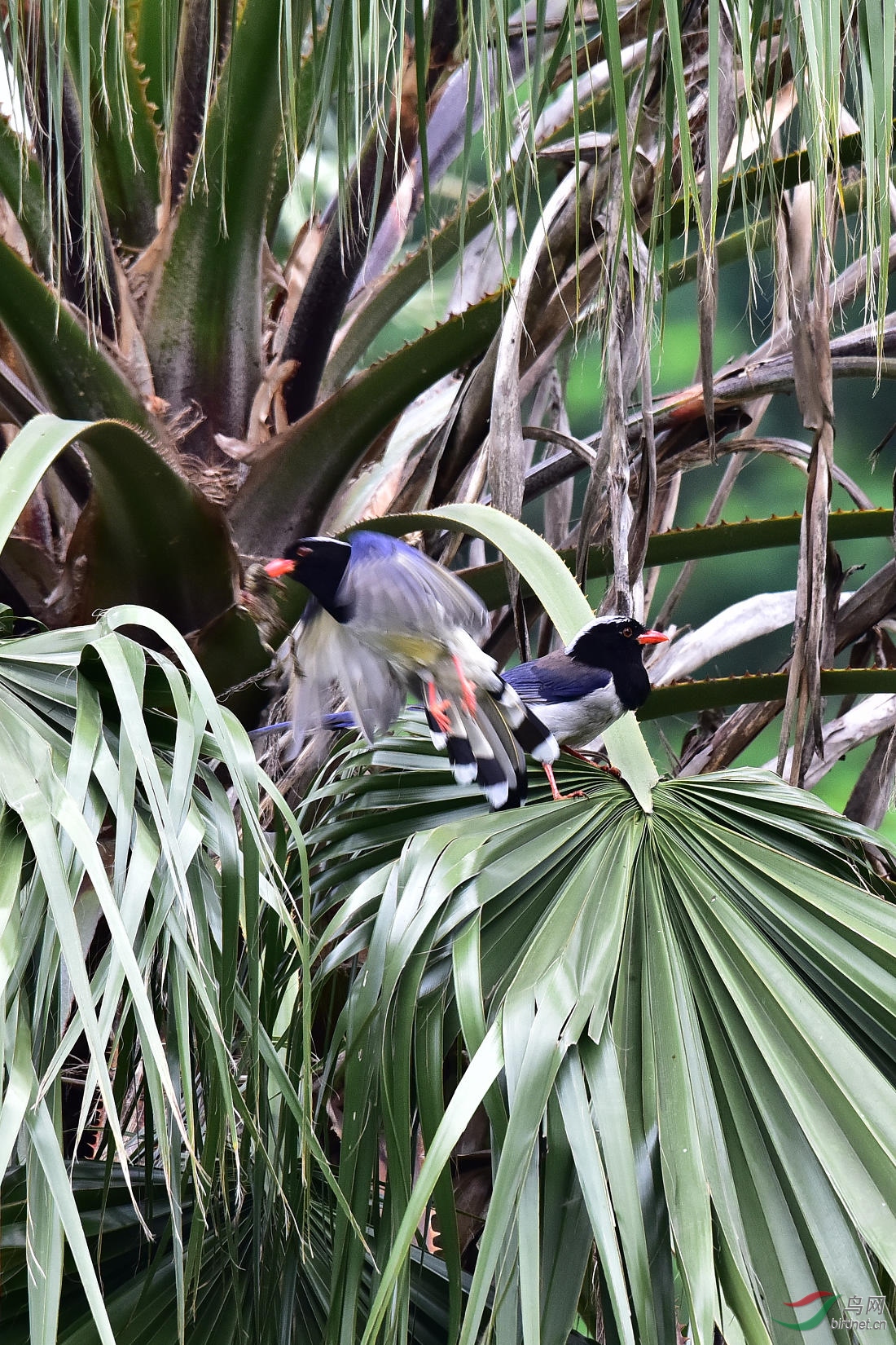 DSC_0225.JPG