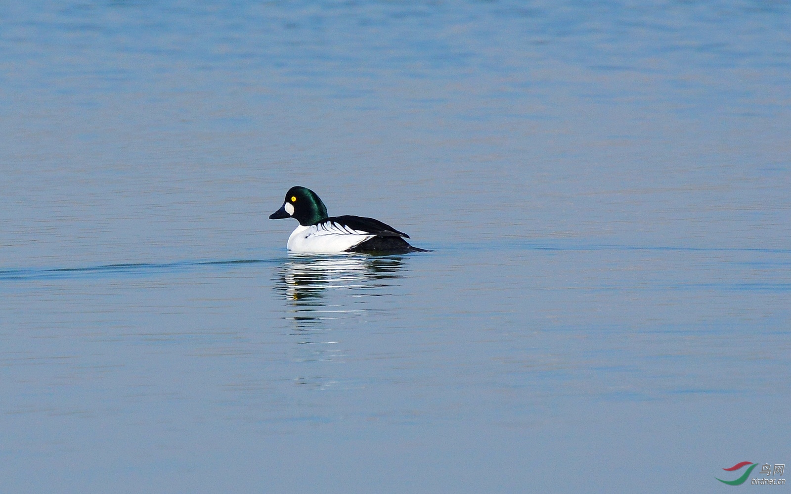 DSC_6527.JPG