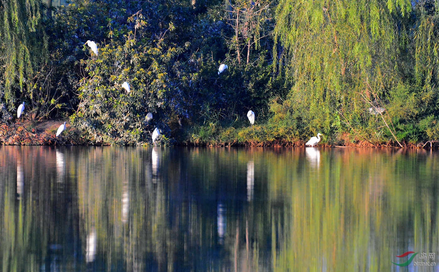 DSC_0479.JPG