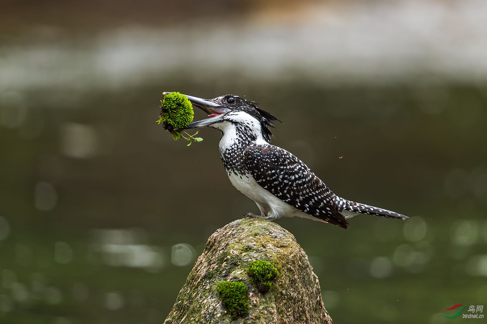 GS010648 ����.jpg