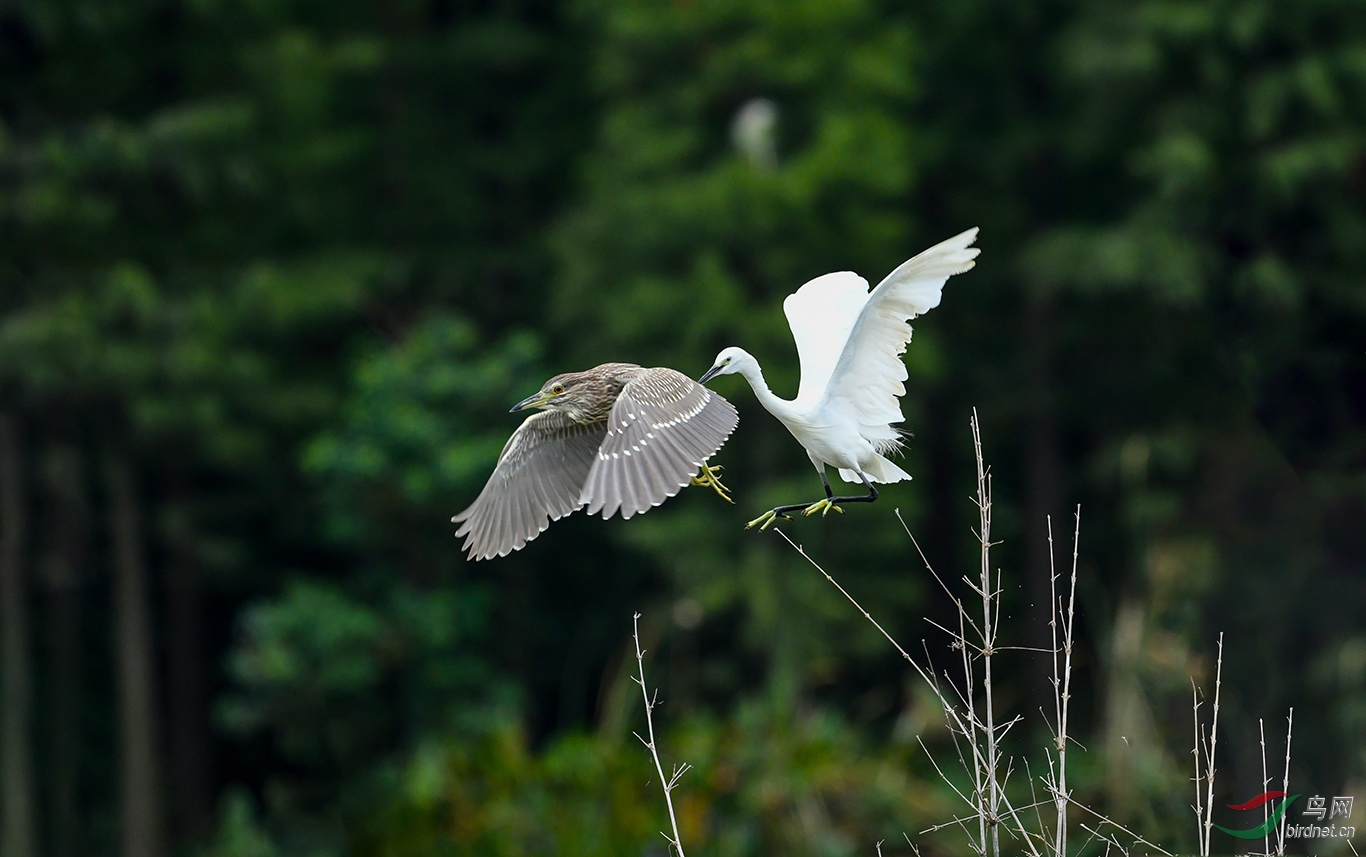 DSC_1024.JPG