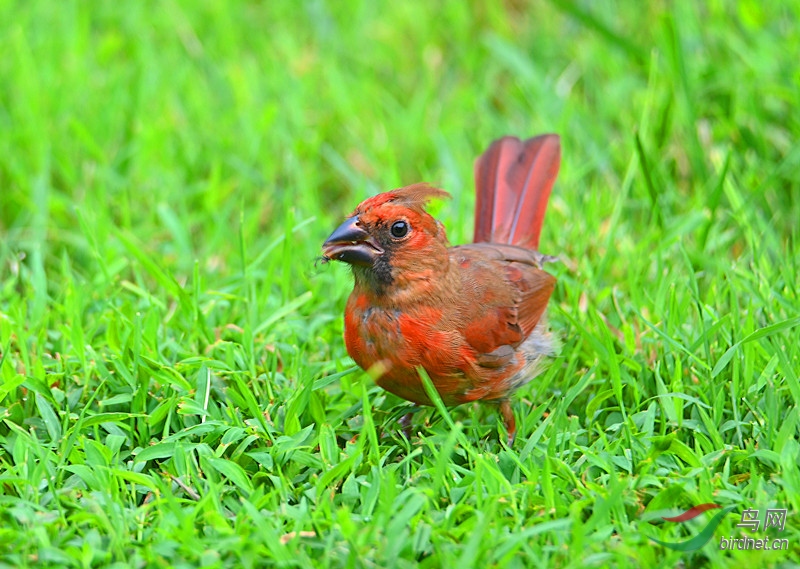 ���괺����