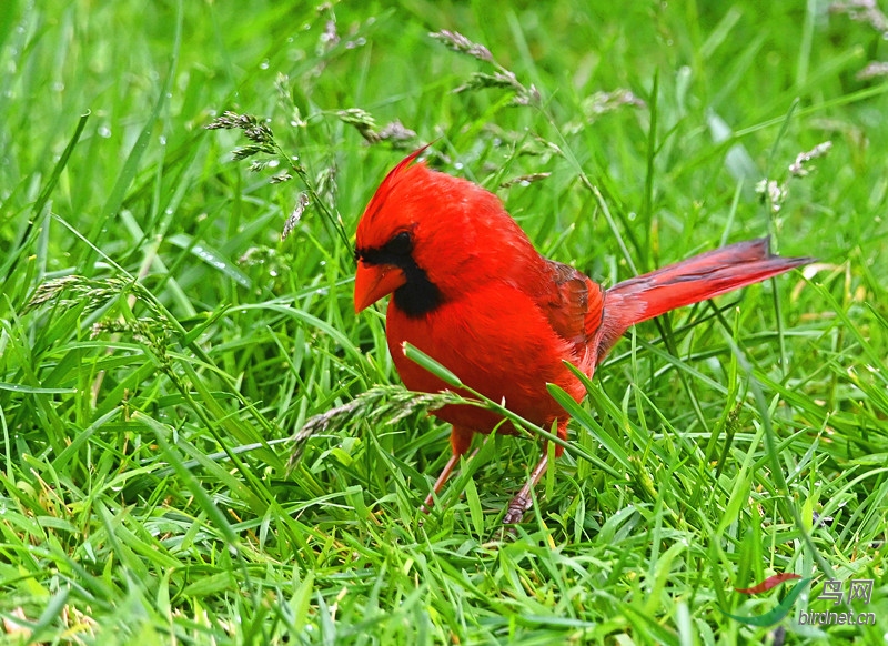 һ�������