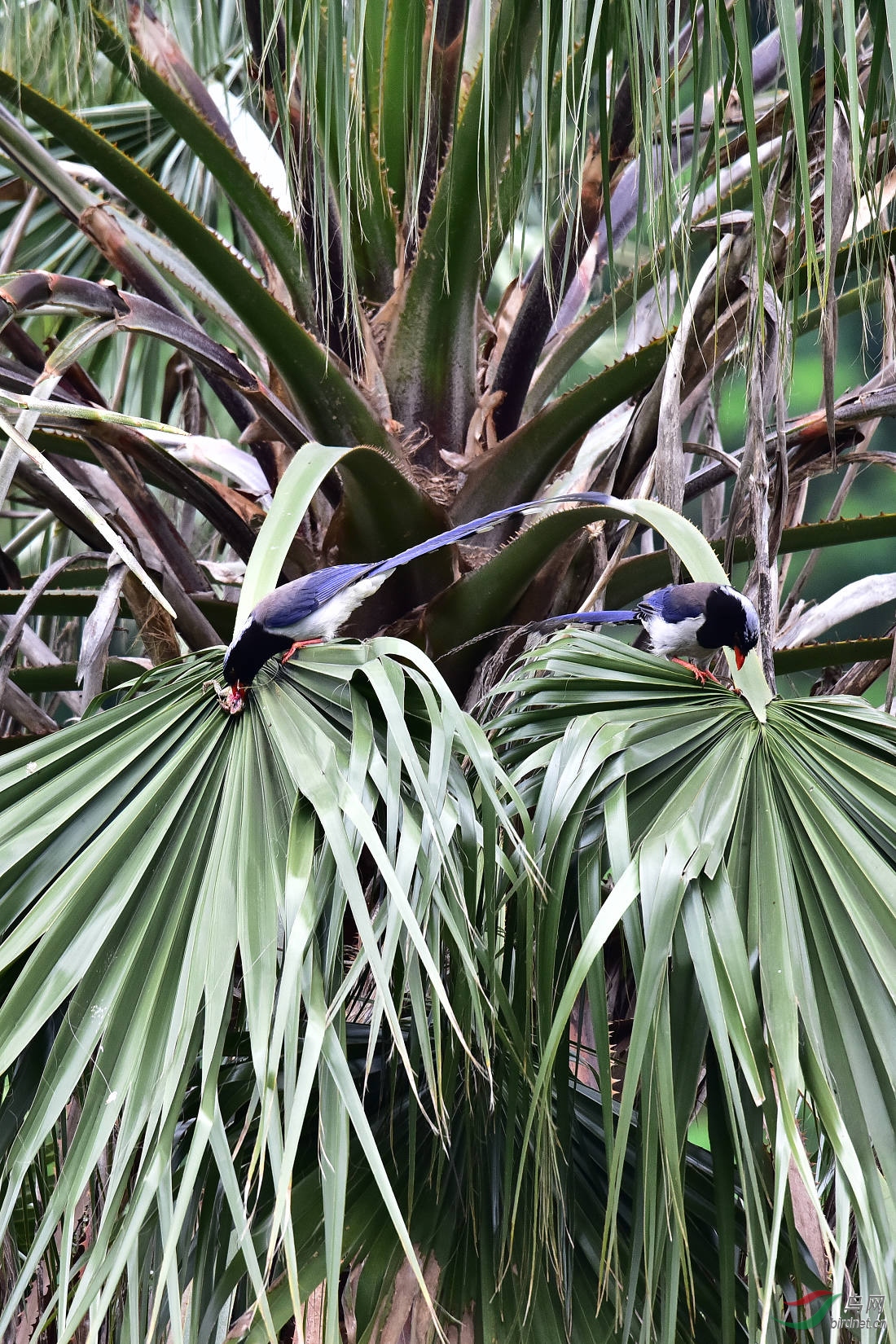 DSC_0227.JPG