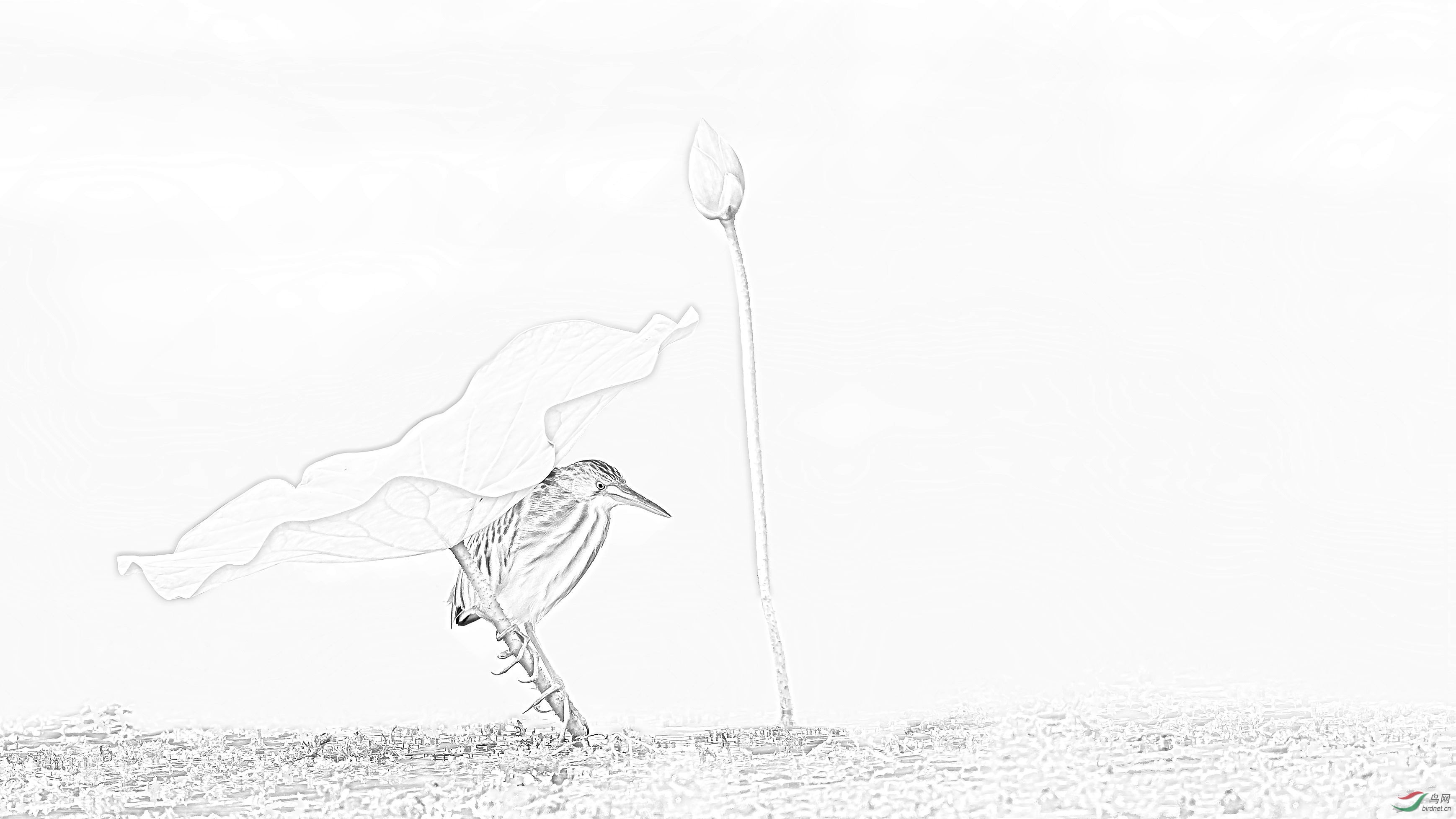 _Q8R3624-1_����.jpg