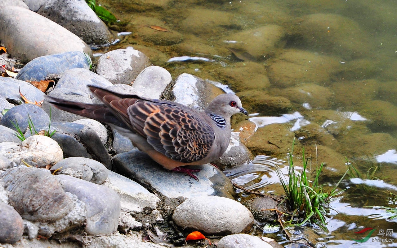 DSC_8498.JPG