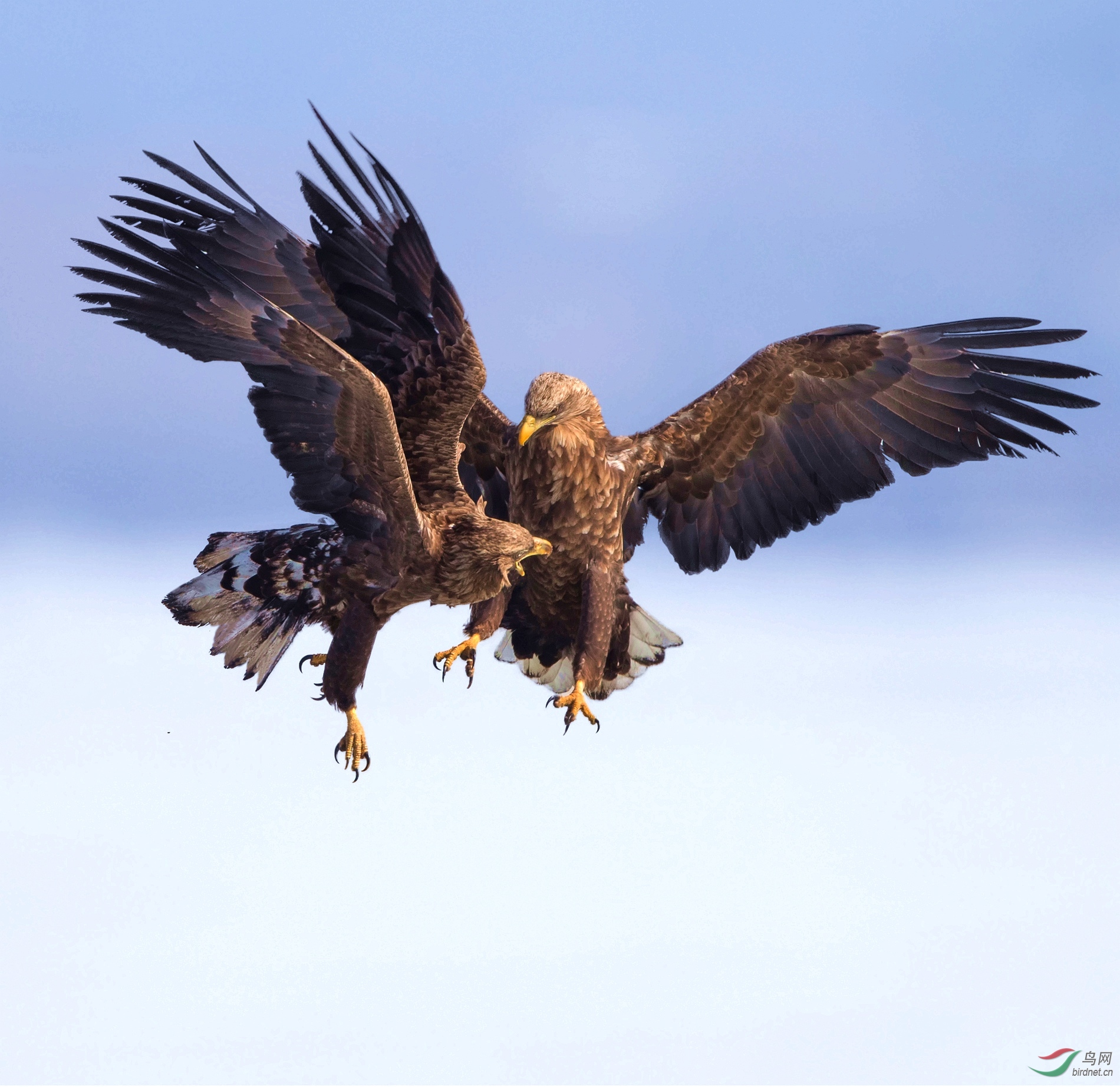 J4W_6150_  �����ɱΪ�İ�      ���ɹŰ�.jpg