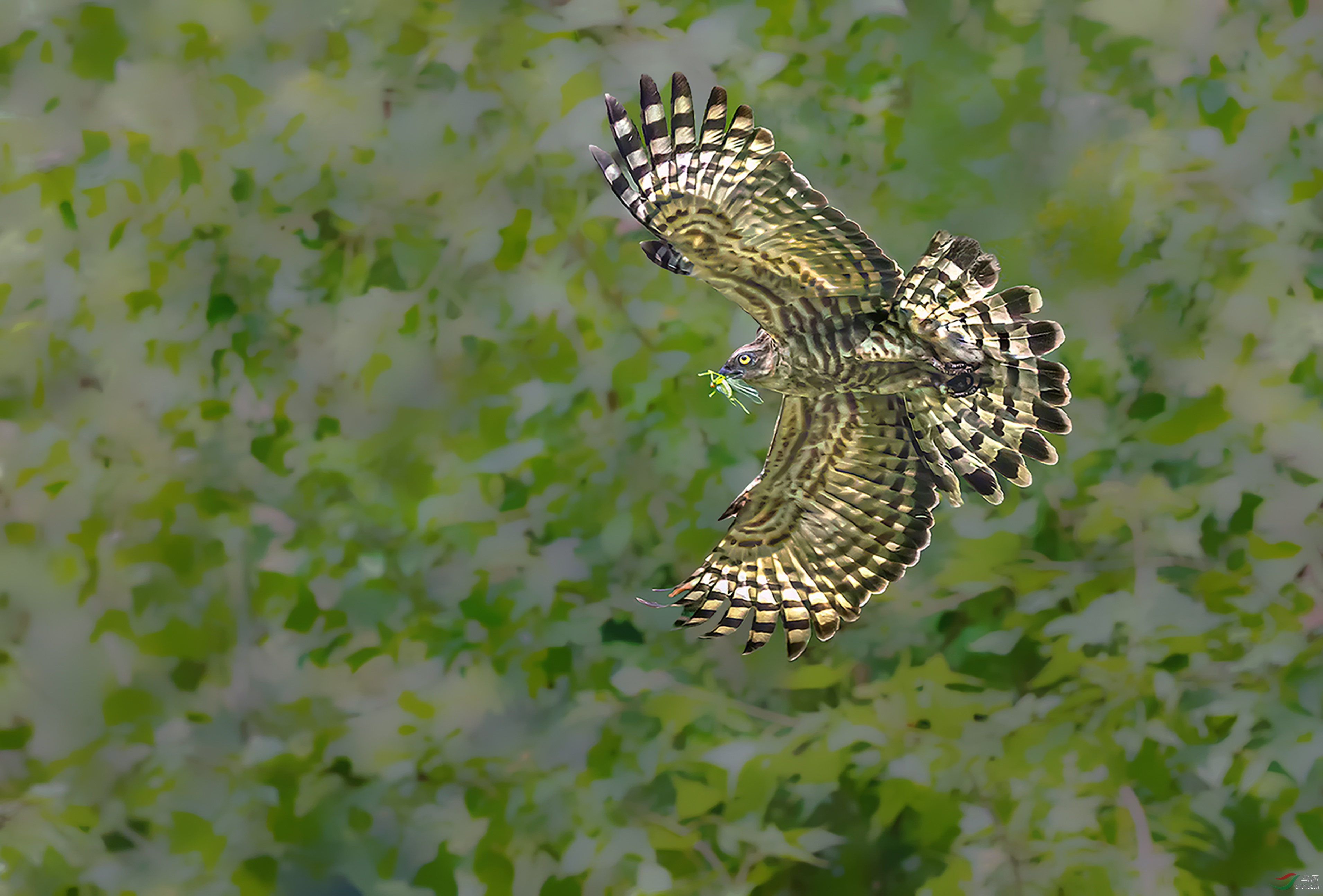 AC1I2164-�ָ��� (2).jpg