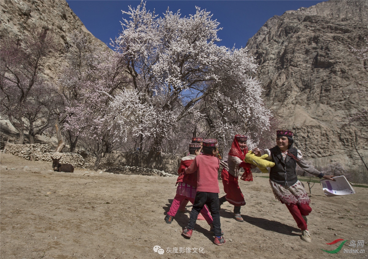 �Ҷ�Ӱ���Ա������Ӱʦ��Ʒ