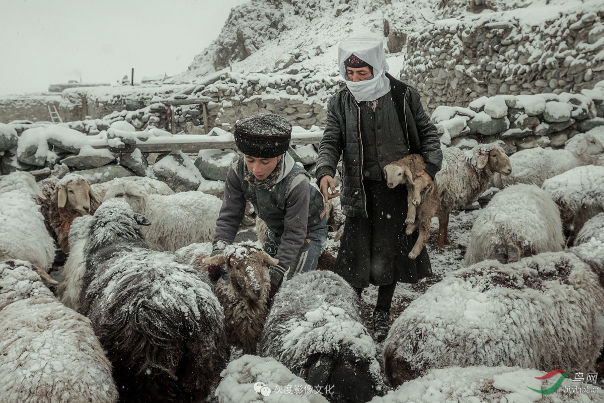 �Ҷ�Ӱ���Ա������Ӱʦ��Ʒ